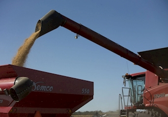 U.S. soybeans fall behind Brazil in battle for animal feed exports