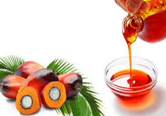 Palm Oil Exports Hit Record High