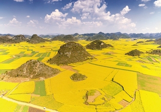 Why China needs canola imports