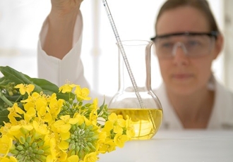 Canola Oil Market Growth Factors