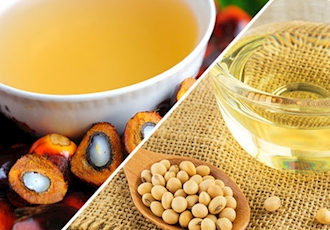 هند مالیات بر واردات روغن پالم را به بالاترین رقم در دهه گذشته افزایش می دهد