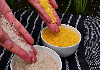 مرجع صدور گواهی بهداشت محصولات غذایی صادراتی چین تغییر نکرده است